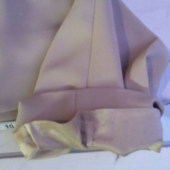 NWT TAHARI Womens Light Tan Creme Beige Lined Straight Leg Career Pants Sz 2 - Picture 8 of 8